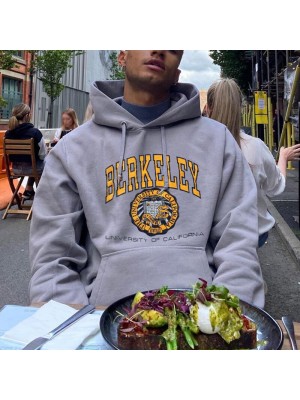 BAPE Ape Head Letter Round Emblem Hooded Sweater HF2506-02-02
